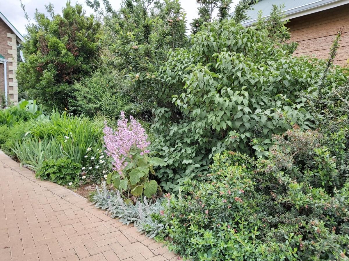 Clarens Mountain Sage Holiday House Zewnętrze zdjęcie